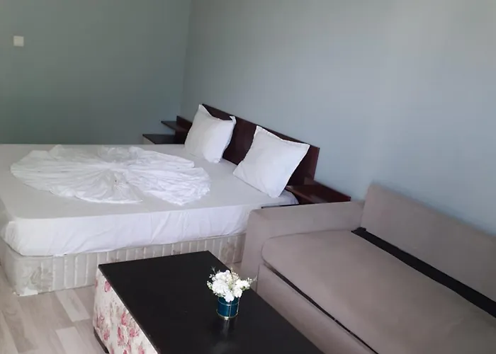 двустаен в * 普里莫尔斯科